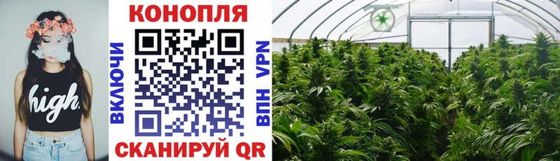 Шишки марихуана White Widow  сколько стоит  Якутск 